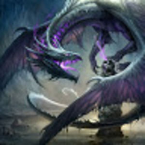 Meet your Posher, Collin